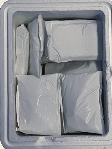 ג 'ל בלוקס קר חינם ג' ל חבילות / שאינו רעיל ושימוש חוזר קר חבילות | אריזה אספקת עבור חינם